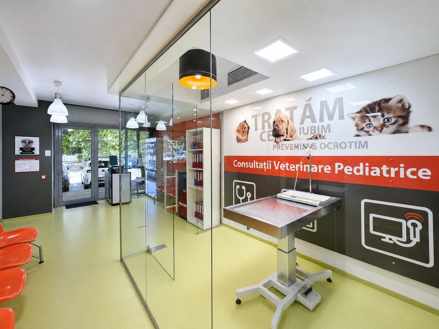 MDP Vet — imagine din interiorul clinicii din Titan, București