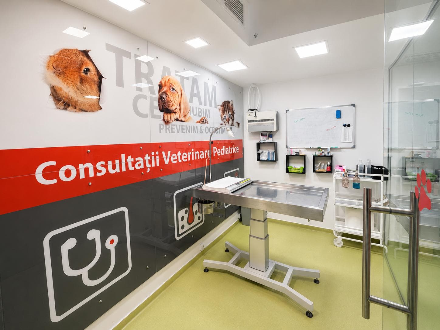 Spațiu clinic MDP Vet pentru consultații și tratamente