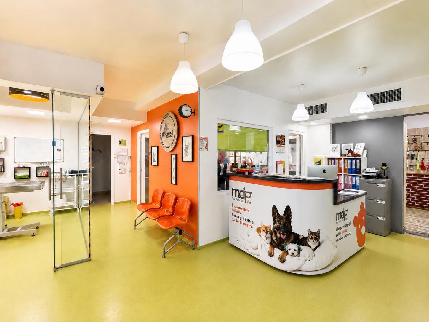 Interiorul clinicii MDP Vet — zona de consultație și echipamente — servicii veterinare MDP Vet Titan